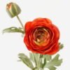 Artificial Flower 15*15*56cm Flower *2 Single stem GS-25823012 2024Feb YeahFlower is one of Chinese leading OEM manufacturers and exporters , supplying the silk flowers, wholesale artificial trees