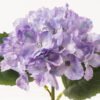 Artificial Flower 22*22*36cm Hydrangea single stem GVC-24-3073-Z1 2024Mar YeahFlower is one of Chinese leading OEM manufacturers and exporters , supplying the silk flowers, wholesale artificial trees