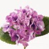 Artificial Flower 22*22*36cm Hydrangea single stem GVC-24-3073-Z2 2024Mar YeahFlower is one of Chinese leading OEM manufacturers and exporters , supplying the silk flowers, wholesale artificial trees