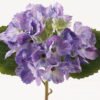 Artificial Flower 22*22*36cm Hydrangea single stem GVC-24-3073-Z3 2024Mar YeahFlower is one of Chinese leading OEM manufacturers and exporters , supplying the silk flowers, wholesale artificial trees