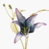 Artificial Flower 20*20*45cm Lilium brownii single stem GVC-24-3043-B1 2024Mar YeahFlower is one of Chinese leading OEM manufacturers and exporters , supplying the silk flowers, wholesale artificial trees