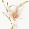 Artificial Flower 20*20*45cm Lilium brownii single stem GVC-24-3043-C1 2024Mar YeahFlower is one of Chinese leading OEM manufacturers and exporters , supplying the silk flowers, wholesale artificial trees