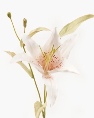 Artificial Flower 20*20*45cm Lilium brownii single stem GVC-24-3043-C1 2024Mar YeahFlower is one of Chinese leading OEM manufacturers and exporters , supplying the silk flowers, wholesale artificial trees