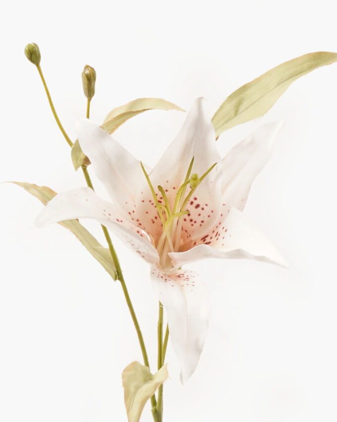 Artificial Flower 20*20*45cm Lilium brownii single stem GVC-24-3043-C1 2024Mar YeahFlower is one of Chinese leading OEM manufacturers and exporters , supplying the silk flowers, wholesale artificial trees