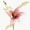 Artificial Flower 20*20*45cm Lilium brownii single stem GVC-24-3043-R1 2024Mar YeahFlower is one of Chinese leading OEM manufacturers and exporters , supplying the silk flowers, wholesale artificial trees