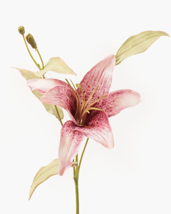 Artificial Flower 20*20*45cm Lilium brownii single stem GVC-24-3043-R1 2024Mar YeahFlower is one of Chinese leading OEM manufacturers and exporters , supplying the silk flowers, wholesale artificial trees