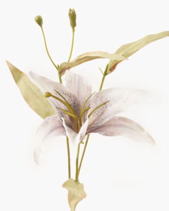 Artificial Flower 20*20*45cm Lilium brownii single stem GVC-24-3043 2024Mar YeahFlower is one of Chinese leading OEM manufacturers and exporters , supplying the silk flowers, wholesale artificial trees