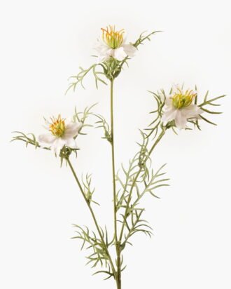 Artificial Flower 12*12*68cm Nigella damascena *3 single stem GVC-24-3045-W1 2024Mar YeahFlower is one of Chinese leading OEM manufacturers and exporters , supplying the silk flowers, wholesale artificial trees