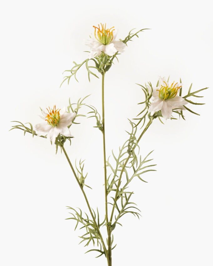 Artificial Flower Nigella damascena 3 single stem GVC-24-3045-W1_9 Artificial Flower 12*12*68cm Nigella damascena *3 single stem GVC-24-3045-W1 2024Mar YeahFlower is one of Chinese leading OEM manufacturers and exporters , supplying the silk flowers, wholesale artificial trees