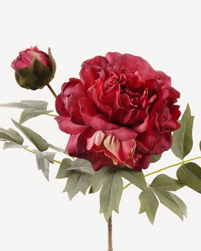 Artificial Flower Peony 2 Single stem GS-25823005-R1_7 Artificial Flower 23*23*58cm Peony *2 Single stem GS-25823005-R1 2024Feb YeahFlower is one of Chinese leading OEM manufacturers and exporters , supplying the silk flowers, wholesale artificial trees