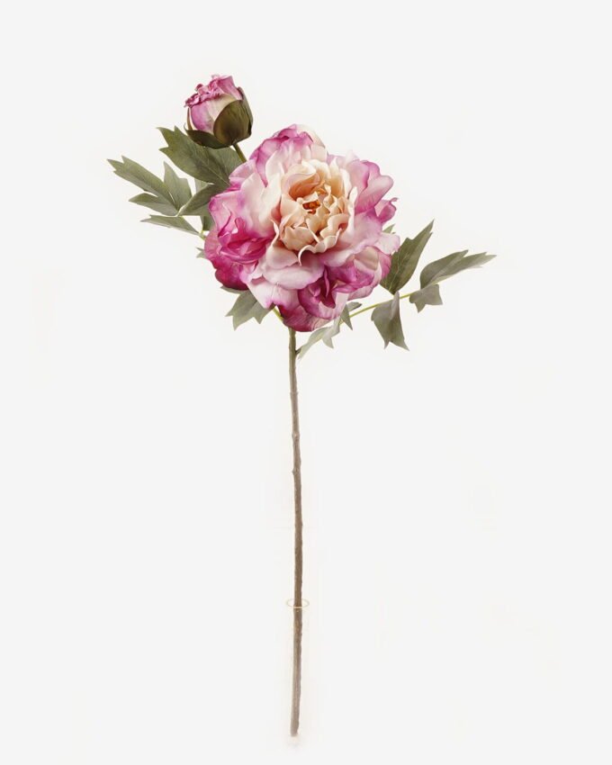 Artificial Flower 23*23*58cm Peony *2 Single stem GS-25823005 2024Feb YeahFlower is one of Chinese leading OEM manufacturers and exporters , supplying the silk flowers, wholesale artificial trees