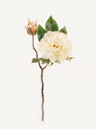 Artificial Flower 18*18*48cm Peony *2 single stem GS-48723030 Single Flowers 3,000+ sqm showroom with thousands of artificial flowers, plants & trees ready for global sourcing.