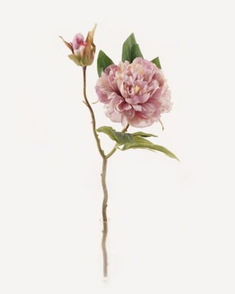 Artificial Flower 18*18*48cm Peony *2 single stem GS-48723030-Z1 2024Feb YeahFlower is one of Chinese leading OEM manufacturers and exporters , supplying the silk flowers, wholesale artificial trees