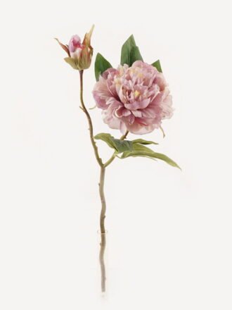Artificial Flower 18*18*48cm Peony *2 single stem GS-48723030-Y1 Single Flowers 3,000+ sqm showroom with thousands of artificial flowers, plants & trees ready for global sourcing.