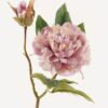 Artificial Flower 18*18*48cm Peony *2 single stem GS-48723030-Z1 2024Feb YeahFlower is one of Chinese leading OEM manufacturers and exporters , supplying the silk flowers, wholesale artificial trees