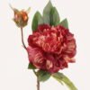 Artificial Flower 18*18*48cm Peony *2 single stem GS-48723030 2024Feb YeahFlower is one of Chinese leading OEM manufacturers and exporters , supplying the silk flowers, wholesale artificial trees