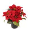 Artificial Flower 25*25*23cm Poinsettia in platic pot GS-03319316R 2024Feb YeahFlower is one of Chinese leading OEM manufacturers and exporters , supplying the silk flowers, wholesale artificial trees