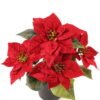 Artificial Flower 25*25*23cm Poinsettia in platic pot GS-03319316R 2024Feb YeahFlower is one of Chinese leading OEM manufacturers and exporters , supplying the silk flowers, wholesale artificial trees