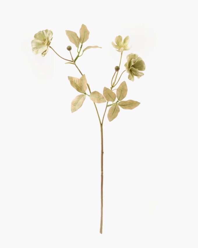 Artificial Flower 12*12*46cm Ranunculus single stem GVC-24-3040 2024Mar YeahFlower is one of Chinese leading OEM manufacturers and exporters , supplying the silk flowers, wholesale artificial trees