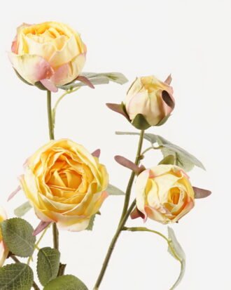 Artificial Flower 23*23*65cm Rose *5 Single stem GS-25823008 2024Feb YeahFlower is one of Chinese leading OEM manufacturers and exporters , supplying the silk flowers, wholesale artificial trees