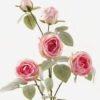 Artificial Flower 25*25*76cm Rose *5 Single stem GS-25823010-P2 2024Feb YeahFlower is one of Chinese leading OEM manufacturers and exporters , supplying the silk flowers, wholesale artificial trees