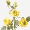 Artificial Flower 25*25*76cm  Rose *5 Single stem GS-25823011-Y1 2024Feb YeahFlower is one of Chinese leading OEM manufacturers and exporters , supplying the silk flowers, wholesale artificial trees