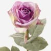 Artificial Flower 20*20*68cm Rose Single stem GS-25823007-Z1 2024Feb YeahFlower is one of Chinese leading OEM manufacturers and exporters , supplying the silk flowers, wholesale artificial trees