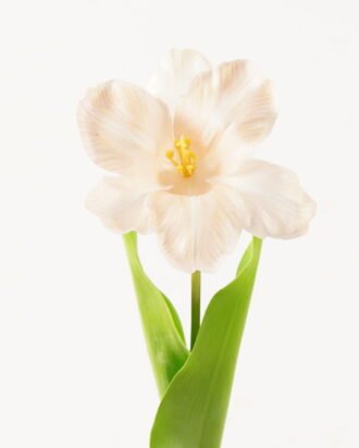 Artificial Flower 13*13*56cm Tulipa gesneriana single stem/2 Ivs GVC-24-3066-C1 2024Mar YeahFlower is one of Chinese leading OEM manufacturers and exporters , supplying the silk flowers, wholesale artificial trees