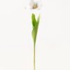 Artificial Flower 13*13*56cm Tulipa gesneriana single stem/2 Ivs GVC-24-3066-H1 2024Mar YeahFlower is one of Chinese leading OEM manufacturers and exporters , supplying the silk flowers, wholesale artificial trees