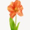 Artificial Flower 13*13*56cm Tulipa gesneriana single stem/2 Ivs GVC-24-3066-O1 2024Mar YeahFlower is one of Chinese leading OEM manufacturers and exporters , supplying the silk flowers, wholesale artificial trees