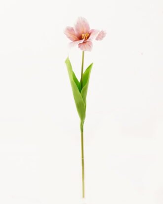 Artificial Flower 13*13*56cm Tulipa gesneriana single stem/2 Ivs GVC-24-3066-P1 2024Mar YeahFlower is one of Chinese leading OEM manufacturers and exporters , supplying the silk flowers, wholesale artificial trees