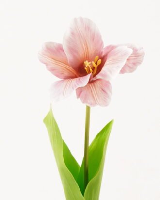 Artificial Flower 13*13*56cm Tulipa gesneriana single stem/2 Ivs GVC-24-3066-P1 2024Mar YeahFlower is one of Chinese leading OEM manufacturers and exporters , supplying the silk flowers, wholesale artificial trees