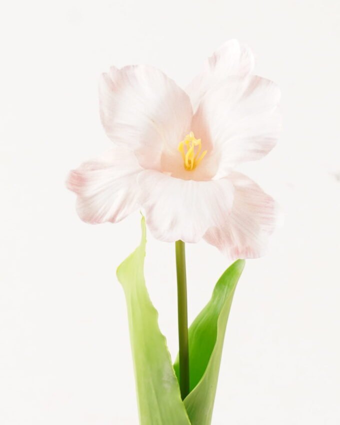 Artificial Flower 13*13*56cm Tulipa gesneriana single stem/2 Ivs GVC-24-3066-P2 2024Mar YeahFlower is one of Chinese leading OEM manufacturers and exporters , supplying the silk flowers, wholesale artificial trees
