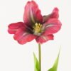 Artificial Flower 13*13*56cm Tulipa gesneriana single stem/2 Ivs GVC-24-3066-R1 2024Mar YeahFlower is one of Chinese leading OEM manufacturers and exporters , supplying the silk flowers, wholesale artificial trees
