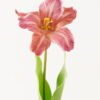 Artificial Flower 13*13*56cm Tulipa gesneriana single stem/2 Ivs GVC-24-3066-R2 2024Mar YeahFlower is one of Chinese leading OEM manufacturers and exporters , supplying the silk flowers, wholesale artificial trees