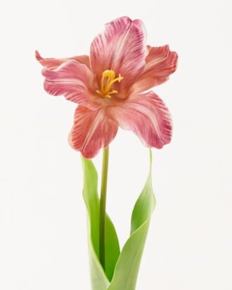 Artificial Flower 13*13*56cm Tulipa gesneriana single stem/2 Ivs GVC-24-3066-R2 2024Mar YeahFlower is one of Chinese leading OEM manufacturers and exporters , supplying the silk flowers, wholesale artificial trees