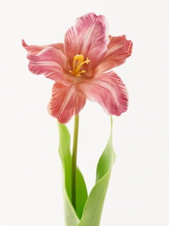 Artificial Flower 13*13*56cm Tulipa gesneriana single stem/2 Ivs GVC-24-3066-R1 Single Flowers 3,000+ sqm showroom with thousands of artificial flowers, plants & trees ready for global sourcing.