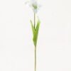 Artificial Flower 13*13*56cm Tulipa gesneriana single stem/2 Ivs GVC-24-3066 2024Mar YeahFlower is one of Chinese leading OEM manufacturers and exporters , supplying the silk flowers, wholesale artificial trees