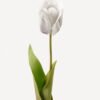 Artificial Flower 9*9*60cm Tulipa single stem GVC-24-3036-H1 2024Mar YeahFlower is one of Chinese leading OEM manufacturers and exporters , supplying the silk flowers, wholesale artificial trees