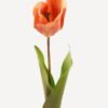 Artificial Flower Tulipa single stem GVC-24-3036-O1_72 Artificial Flower 9*9*60cm Tulipa single stem GVC-24-3036-O1 2024Mar YeahFlower is one of Chinese leading OEM manufacturers and exporters , supplying the silk flowers, wholesale artificial trees