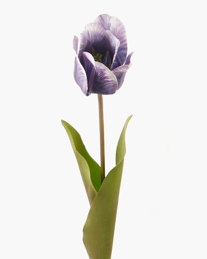 Artificial Flower Tulipa single stem GVC-24-3036-Z3_8 Artificial Flower 9*9*60cm Tulipa single stem GVC-24-3036-Z3 2024Mar YeahFlower is one of Chinese leading OEM manufacturers and exporters , supplying the silk flowers, wholesale artificial trees