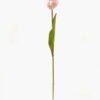 Artificial Flower Tulipa single stem GVC-24-3037-P2 Artificial Flower 7*7*49cm Tulipa single stem GVC-24-3037-P2 2024Mar YeahFlower is one of Chinese leading OEM manufacturers and exporters , supplying the silk flowers, wholesale artificial trees