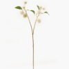 Artificial Flower 18*18*57cm Turgenia *2 single stem GVC-24-3064-W1 2024Mar YeahFlower is one of Chinese leading OEM manufacturers and exporters , supplying the silk flowers, wholesale artificial trees