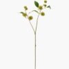 Artificial Flower 18*18*57cm Turgenia *2 single stem GVC-24-3064 2024Mar YeahFlower is one of Chinese leading OEM manufacturers and exporters , supplying the silk flowers, wholesale artificial trees