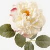 Artificial Flower Wild Rose Single stem GS-25823004-W1_7 Artificial Flower 22*22*70cm Wild Rose Single stem GS-25823004-W1 2024Feb YeahFlower is one of Chinese leading OEM manufacturers and exporters , supplying the silk flowers, wholesale artificial trees
