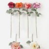 Artificial Flower Wild Rose Single stem GS-25823004_1 Artificial Flower 22*22*70cm Wild Rose Single stem GS-25823004 2024Feb YeahFlower is one of Chinese leading OEM manufacturers and exporters , supplying the silk flowers, wholesale artificial trees