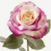 Artificial Flower 23*23*66cm cm Rose Single stem GS-25823006-Z1 2024Feb YeahFlower is one of Chinese leading OEM manufacturers and exporters , supplying the silk flowers, wholesale artificial trees