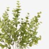 Artificial Plant 16*16*35cm Eucalyptus Leaf *7 bush GS-05524023-G1 2024Feb YeahFlower is one of Chinese leading OEM manufacturers and exporters , supplying the silk flowers, wholesale artificial trees