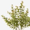 Artificial Plant Eucalyptus Leaf 7 bush GS-05524023_2 Artificial Plant 16*16*35cm Eucalyptus Leaf *7 bush GS-05524023 2024Feb YeahFlower is one of Chinese leading OEM manufacturers and exporters , supplying the silk flowers, wholesale artificial trees