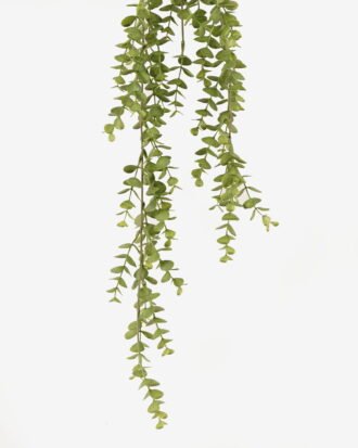 Artificial Plant 15*15*70cm Eucalyptus Leaf hanging GS-05524025 2024Feb YeahFlower is one of Chinese leading OEM manufacturers and exporters , supplying the silk flowers, wholesale artificial trees